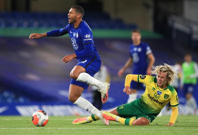 袋鼠肌腱 袋鼠肌腱